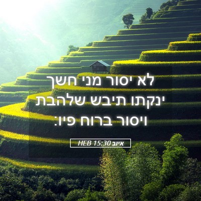 Picture 05 - איוב 15:30 HEB - לא יסור מני חשך ינקתו תיבש - Bible Verse Picture