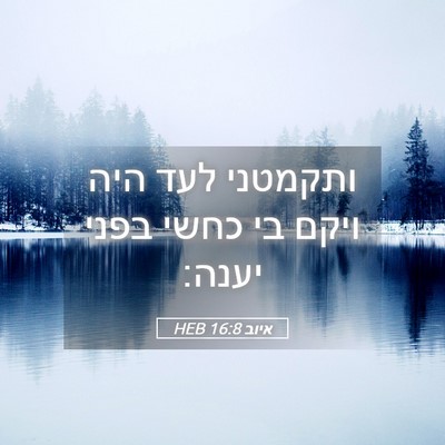 Picture 05 - איוב 16:8 HEB - ותקמטני לעד היה ויקם בי - Bible Verse Picture