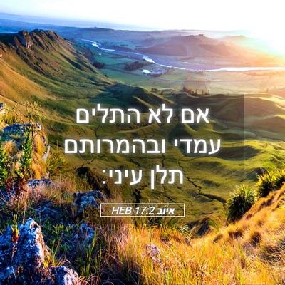 Picture 05 - איוב 17:2 HEB - אם לא התלים עמדי ובהמרותם - Bible Verse Picture