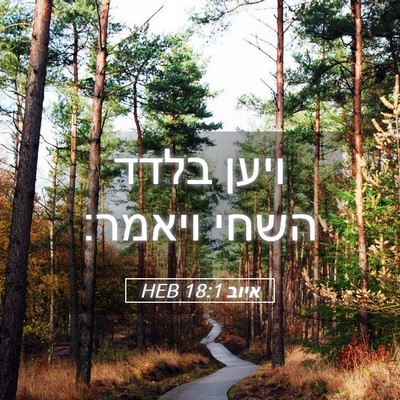 Picture 05 - איוב 18:1 HEB - ויען בלדד השחי - Bible Verse Picture
