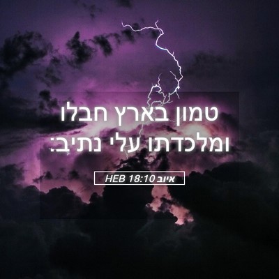 Picture 05 - איוב 18:10 HEB - טמון בארץ חבלו ומלכדתו עלי - Bible Verse Picture