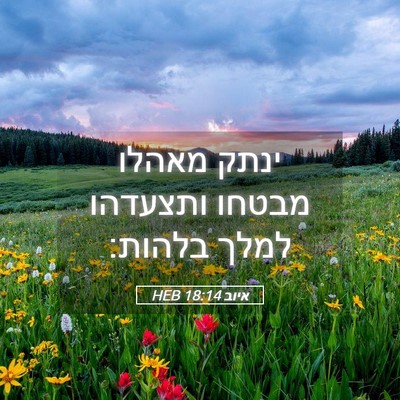 Picture 05 - איוב 18:14 HEB - ינתק מאהלו מבטחו ותצעדהו - Bible Verse Picture