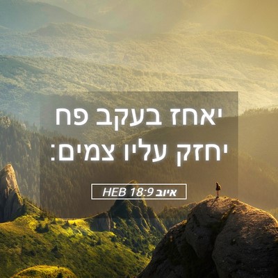 Picture 05 - איוב 18:9 HEB - יאחז בעקב פח יחזק עליו - Bible Verse Picture