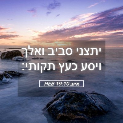 Picture 05 - איוב 19:10 HEB - יתצני סביב ואלך ויסע כעץ - Bible Verse Picture