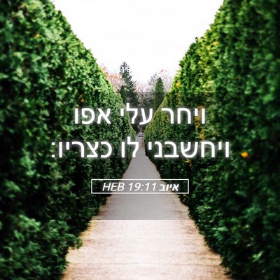 Picture 05 - איוב 19:11 HEB - ויחר עלי אפו ויחשבני לו - Bible Verse Picture