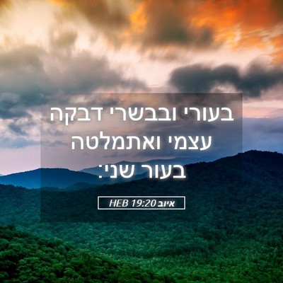 Picture 05 - איוב 19:20 HEB - בעורי ובבשרי דבקה עצמי - Bible Verse Picture
