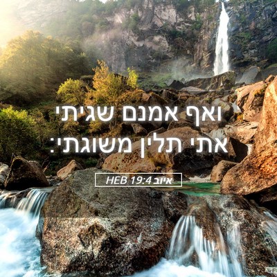 Picture 05 - איוב 19:4 HEB - ואף אמנם שגיתי אתי תלין - Bible Verse Picture