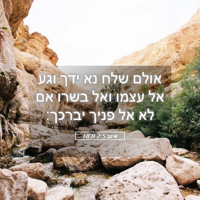 Picture 05 - איוב 2:5 HEB - אולם שלח נא ידך וגע אל עצמו - Bible Verse Picture