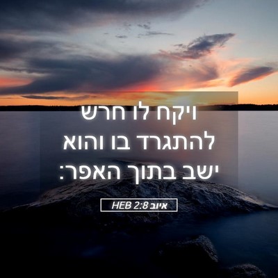 Picture 05 - איוב 2:8 HEB - ויקח לו חרש להתגרד בו והוא - Bible Verse Picture