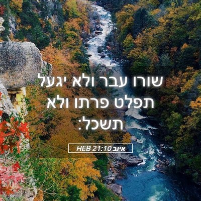 Picture 05 - איוב 21:10 HEB - שורו עבר ולא יגעל תפלט פרתו - Bible Verse Picture