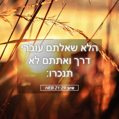 Picture 05 - איוב 21:29 HEB - הלא שאלתם עוברי דרך ואתתם - Bible Verse Picture