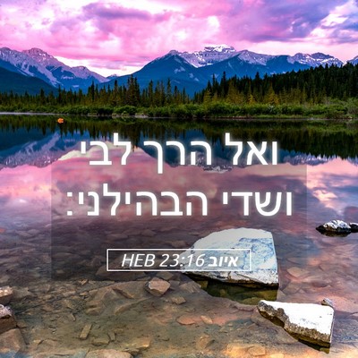 Picture 05 - איוב 23:16 HEB - ואל הרך לבי ושדי - Bible Verse Picture