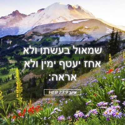 Picture 05 - איוב 23:9 HEB - שמאול בעשתו ולא אחז יעטף - Bible Verse Picture