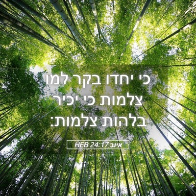 Picture 05 - איוב 24:17 HEB - כי יחדו בקר למו צלמות כי - Bible Verse Picture