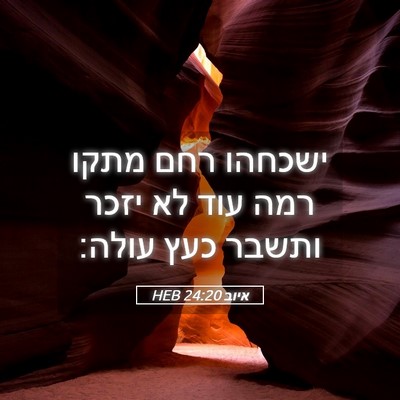 Picture 05 - איוב 24:20 HEB - ישכחהו רחם מתקו רמה עוד לא - Bible Verse Picture