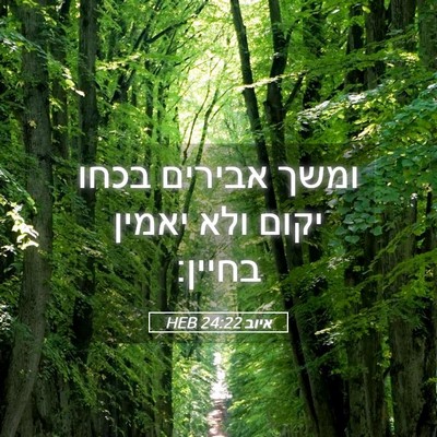 Picture 05 - איוב 24:22 HEB - ומשך אבירים בכחו יקום ולא - Bible Verse Picture
