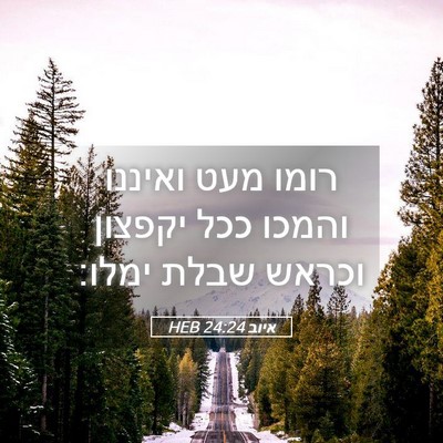 Picture 05 - איוב 24:24 HEB - רומו מעט ואיננו והמכו ככל - Bible Verse Picture