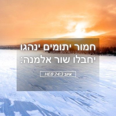 Picture 05 - איוב 24:3 HEB - חמור יתומים ינהגו יחבלו - Bible Verse Picture