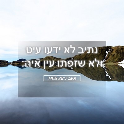 Picture 05 - איוב 28:7 HEB - נתיב לא ידעו עיט ולא שזפתו - Bible Verse Picture