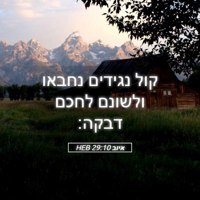 Picture 05 - איוב 29:10 HEB - קול נגידים נחבאו ולשונם - Bible Verse Picture