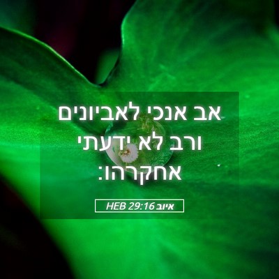 Picture 05 - איוב 29:16 HEB - אב אנכי לאביונים ורב לא - Bible Verse Picture