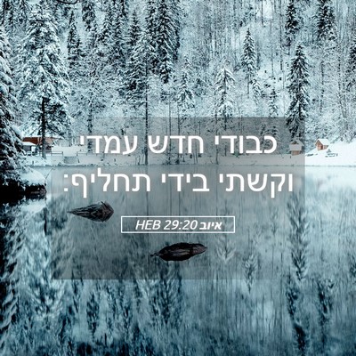 Picture 05 - איוב 29:20 HEB - כבודי חדש עמדי וקשתי בידי - Bible Verse Picture