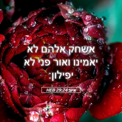 Picture 05 - איוב 29:24 HEB - אשחק אלהם לא יאמינו ואור - Bible Verse Picture