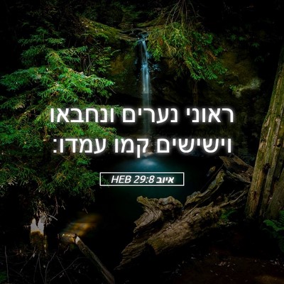 Picture 05 - איוב 29:8 HEB - ראוני נערים ונחבאו וישישים - Bible Verse Picture