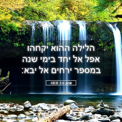 Picture 05 - איוב 3:6 HEB - הלילה ההוא יקחהו אפל אל יחד - Bible Verse Picture