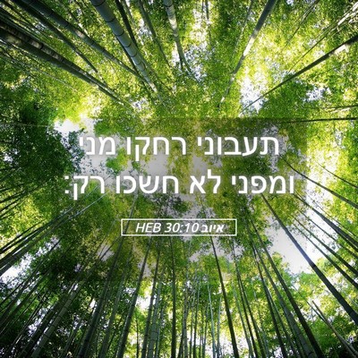 Picture 05 - איוב 30:10 HEB - תעבוני רחקו מני ומפני לא - Bible Verse Picture