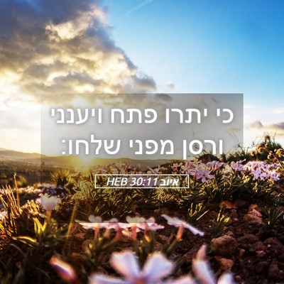 Picture 05 - איוב 30:11 HEB - כי יתרו פתח ויענני ורסן - Bible Verse Picture