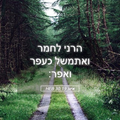 Picture 05 - איוב 30:19 HEB - הרני לחמר ואתמשל כעפר - Bible Verse Picture