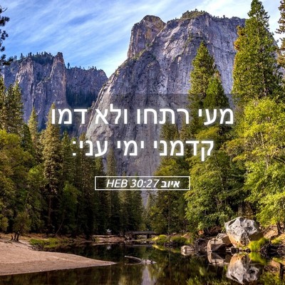 Picture 05 - איוב 30:27 HEB - מעי רתחו ולא דמו קדמני ימי - Bible Verse Picture