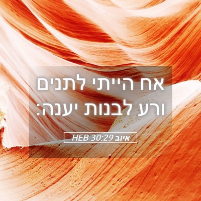 Picture 05 - איוב 30:29 HEB - אח הייתי לתנים ורע לבנות - Bible Verse Picture