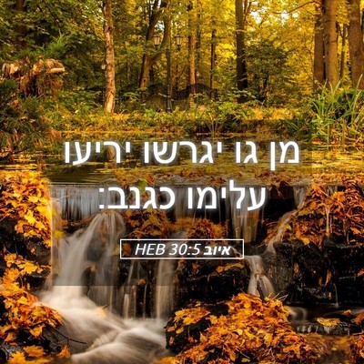 Picture 05 - איוב 30:5 HEB - מן גו יגרשו יריעו עלימו - Bible Verse Picture