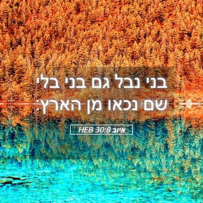 Picture 05 - איוב 30:8 HEB - בני נבל גם בני בלי שם נכאו - Bible Verse Picture