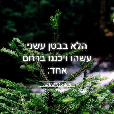 Picture 05 - איוב 31:15 HEB - הלא בבטן עשני עשהו ויכננו - Bible Verse Picture