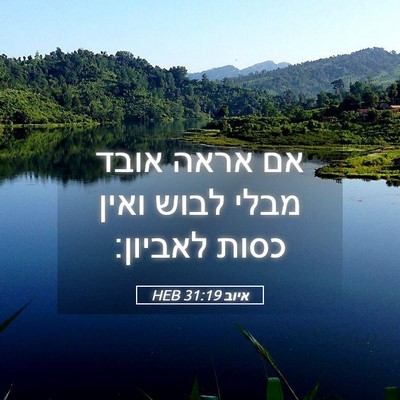 Picture 05 - איוב 31:19 HEB - אם אראה אובד מבלי לבוש ואין - Bible Verse Picture