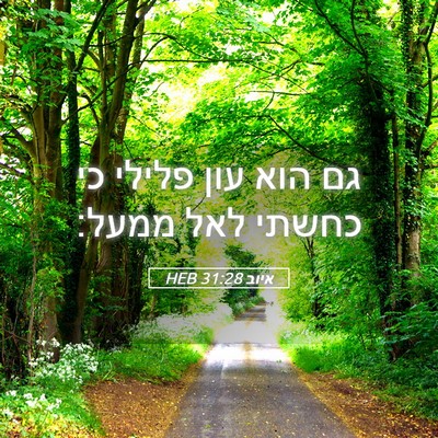 Picture 05 - איוב 31:28 HEB - גם הוא עון פלילי כי כחשתי - Bible Verse Picture