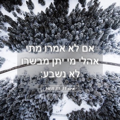 Picture 05 - איוב 31:31 HEB - אם לא אמרו מתי אהלי מי יתן - Bible Verse Picture