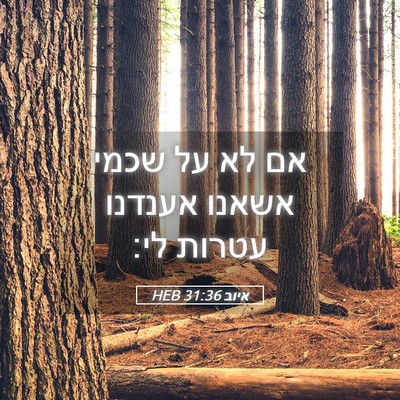 Picture 05 - איוב 31:36 HEB - אם לא על שכמי אשאנו אענדנו - Bible Verse Picture