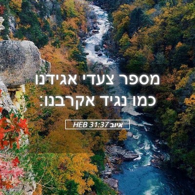 Picture 05 - איוב 31:37 HEB - מספר צעדי אגידנו כמו נגיד - Bible Verse Picture