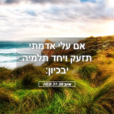 Picture 05 - איוב 31:38 HEB - אם עלי אדמתי תזעק ויחד - Bible Verse Picture