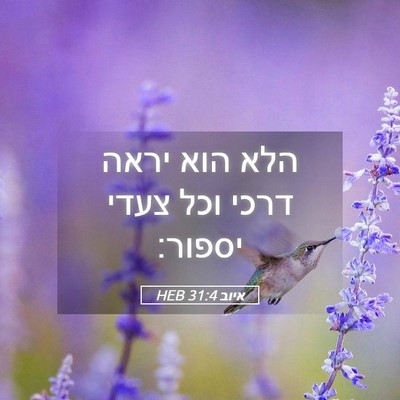 Picture 05 - איוב 31:4 HEB - הלא הוא יראה דרכי וכל צעדי - Bible Verse Picture