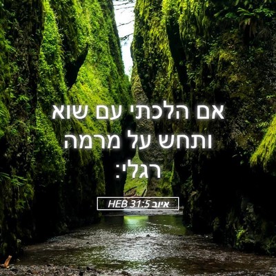 Picture 05 - איוב 31:5 HEB - אם הלכתי עם שוא ותחש על - Bible Verse Picture