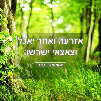 Picture 05 - איוב 31:8 HEB - אזרעה ואחר יאכל וצאצאי - Bible Verse Picture