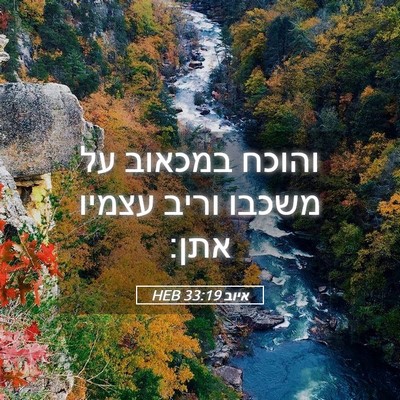 Picture 05 - איוב 33:19 HEB - והוכח במכאוב על משכבו וריב - Bible Verse Picture