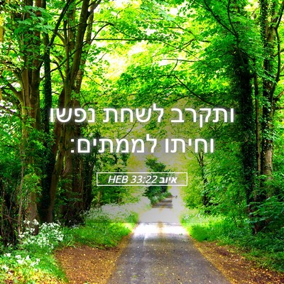 Picture 05 - איוב 33:22 HEB - ותקרב לשחת נפשו וחיתו - Bible Verse Picture