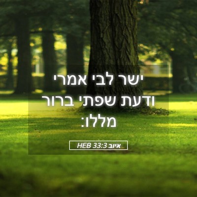 Picture 05 - איוב 33:3 HEB - ישר לבי אמרי ודעת שפתי ברור - Bible Verse Picture