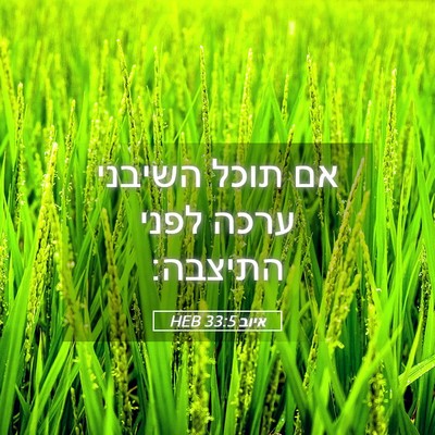 Picture 05 - איוב 33:5 HEB - אם תוכל השיבני ערכה לפני - Bible Verse Picture